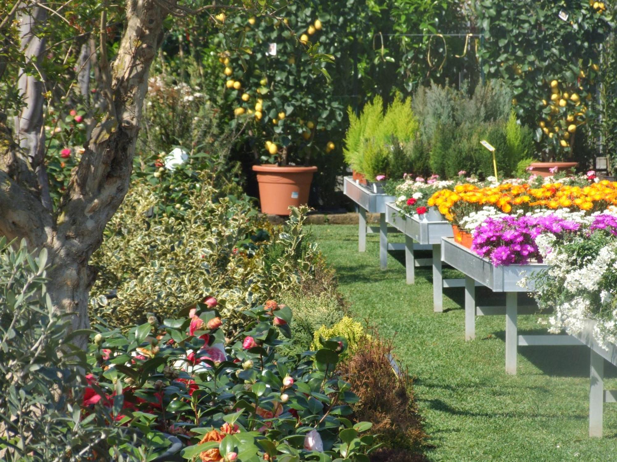 Residenza I Ciclamini Bed & Breakfast โรม ภายนอก รูปภาพ