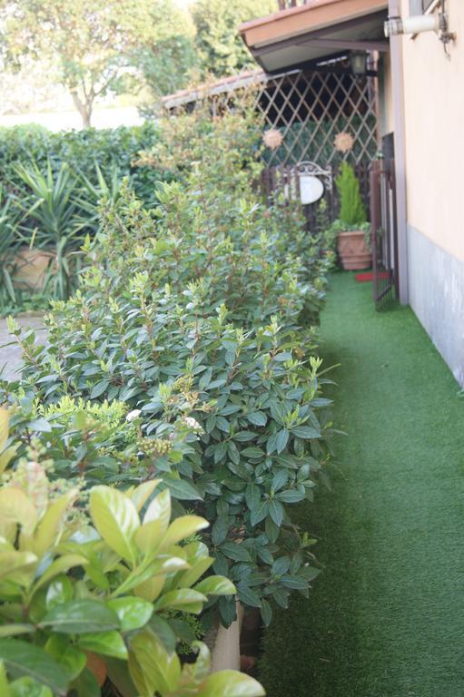 Residenza I Ciclamini Bed & Breakfast โรม ภายนอก รูปภาพ