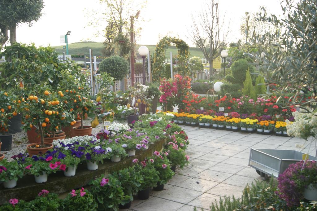 Residenza I Ciclamini Bed & Breakfast โรม ภายนอก รูปภาพ